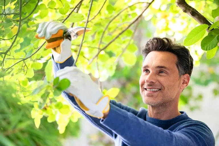 Linssileikkaus on yleisin ikänäköleikkaus.