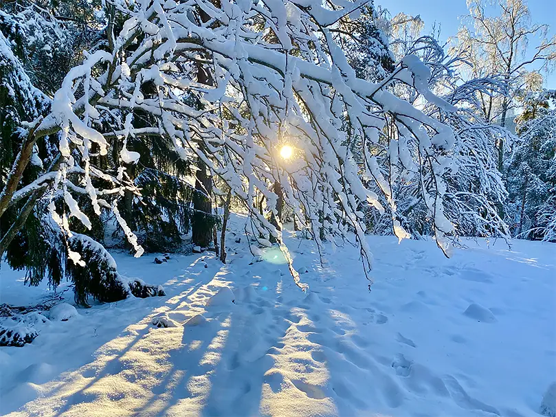 Eroon huurtuvista silmälaseista!